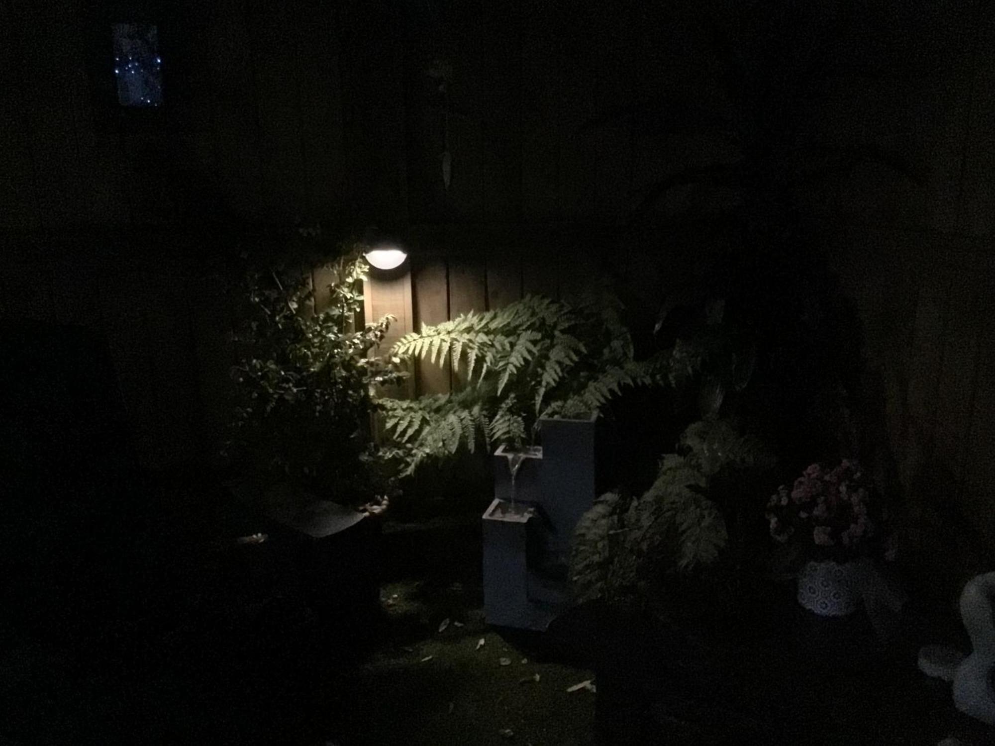 Tranquil Garden Studio 타우랑가 외부 사진